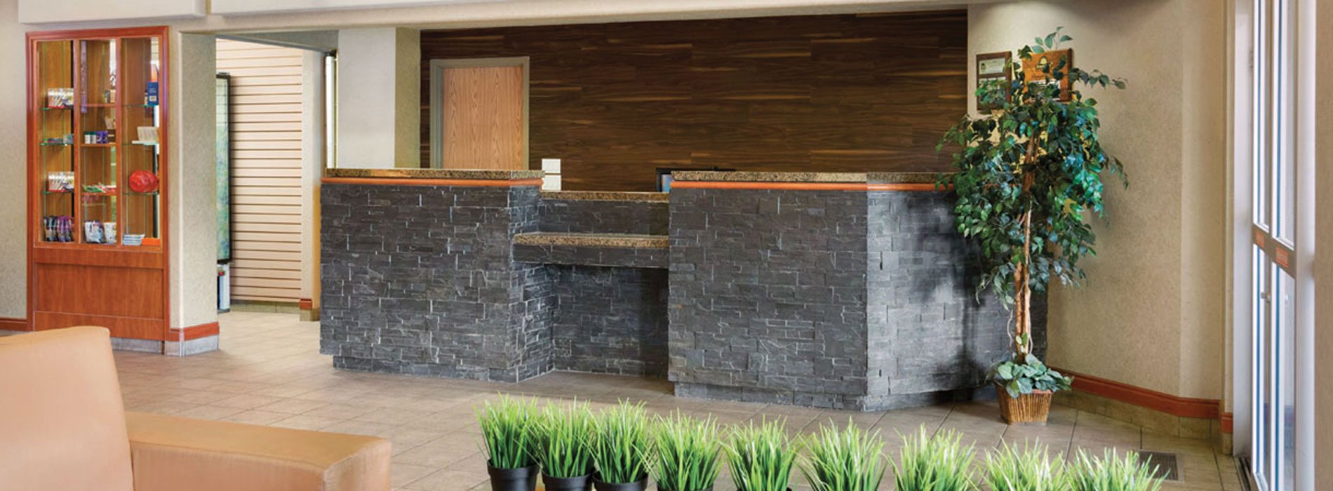 A pigeon gray stone check-in counter with granite top in the lobby of d3h Days Inn Calgary Airport is flanked by a deep green ficus plant and a red ochre brown wood and glass multi-level shelving unit displaying merchandise for sale.  Behind the check-in counter, a brunette brown wood accent wall is contrasted against a sepia wood grain door leading to a back office.